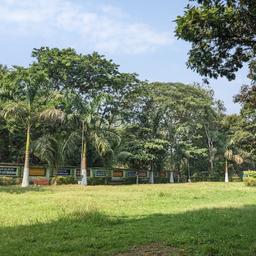 place