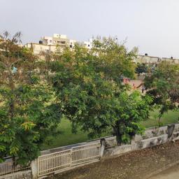 place