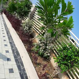 place