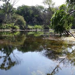 place