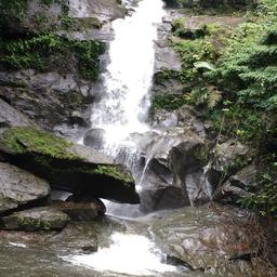 place