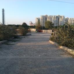 place