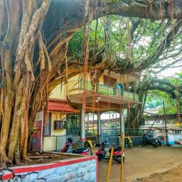 place