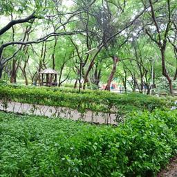 place