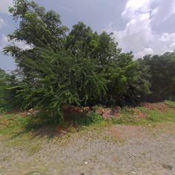 place