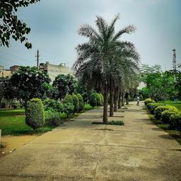 place
