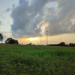 place