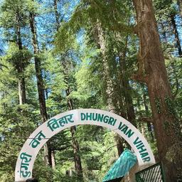 place