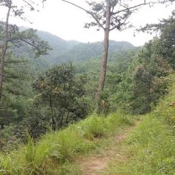 place