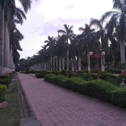 place