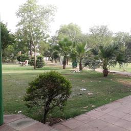 place