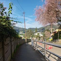 place