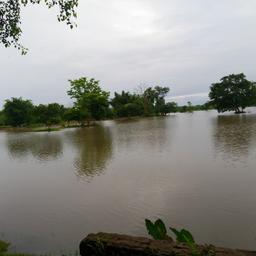 place