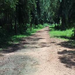 place