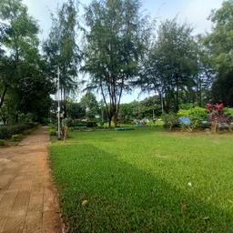 place