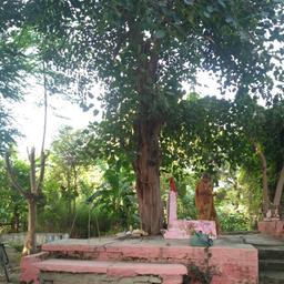 place