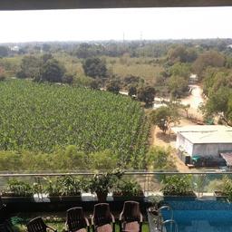 place