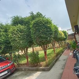 place