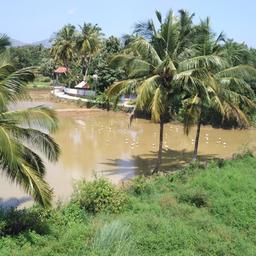 place