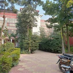 place