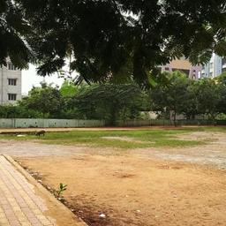 place
