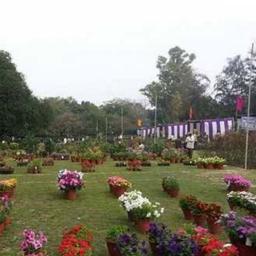 place