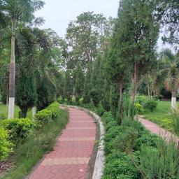 place